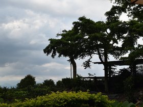 DSC_2523.JPG