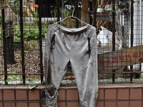 DSC_5224.JPG
