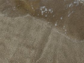 Beaches and Shores