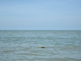 DSC_2113.JPG