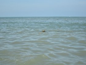 DSC_2114.JPG