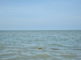 DSC_2115.JPG