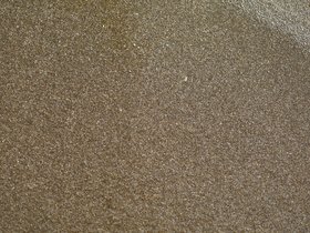 DSC_2137.JPG