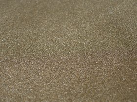 DSC_2138.JPG