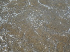 DSC_2143.JPG