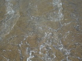 DSC_2144.JPG