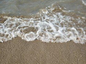 DSC_2146.JPG