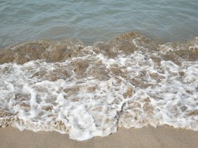 DSC_2148.JPG