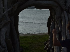 DSC_2195.JPG