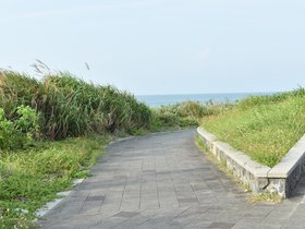 DSC_2206.JPG