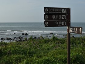 DSC_2207.JPG