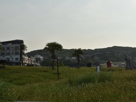 DSC_2211.JPG
