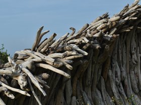 DSC_2213.JPG