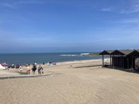 IMG_7901.jpg