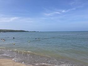 IMG_7903.jpg