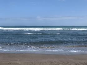 IMG_8572.jpg
