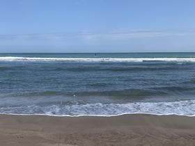 IMG_8574.jpg
