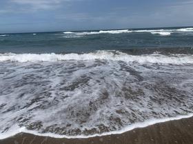 IMG_8587.jpg