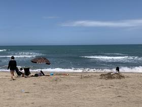 IMG_8627.jpg