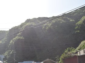 DSC_0825.JPG