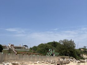 IMG_3977.JPG