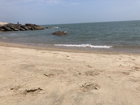 IMG_3978.JPG