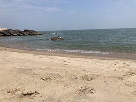 IMG_3979.JPG
