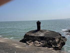 IMG_7329.jpg