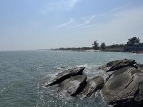 IMG_7341.jpg