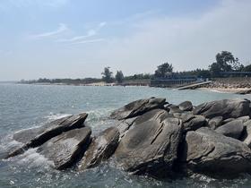 IMG_7342.jpg