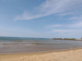 P_20200704_153552.jpg