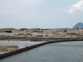 IMG_9491.JPG