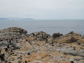 IMG_9500.JPG