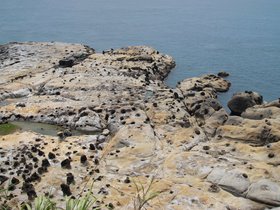 IMG_9520.JPG