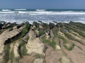 IMG_8744.jpg