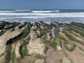 IMG_8746.jpg