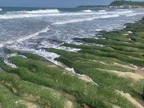 IMG_8867.jpg