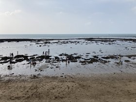 IMG_2323.JPG