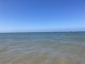 IMG_7730.jpg