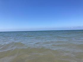 IMG_7732.jpg