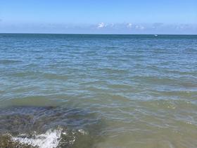 IMG_7741.jpg