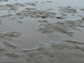 DSC_0051.JPG
