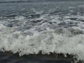 DSC_0095.JPG