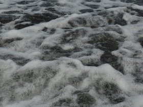 DSC_0096.JPG