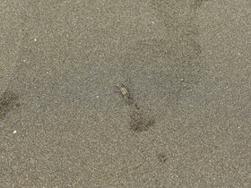 DSC_0163.JPG