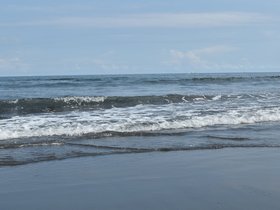 DSC_2670.JPG