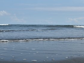 DSC_2671.JPG