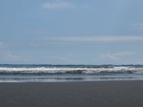 DSC_2689.JPG