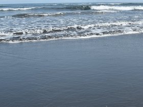 DSC_2692.JPG