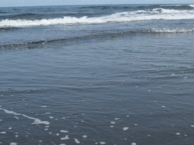 DSC_2693.JPG
